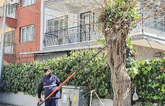Efeler Belediyesi’nden tarihi mahallelerde çevre düzenlemesi