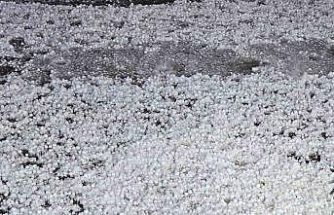 Elazığ’da dolu etkili oldu