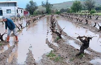 Elazığ’da dolu yağışı sonrası hasar tespit çalışması