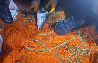 Elazığ’da kaçak avcılara ait 300 metrelik ağ ele geçirildi