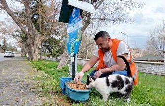 Elazığ’da sokak hayvanlarına mama desteği sürüyor