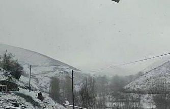 Elazığ’ın yüksek kesimlerinde kar yağışı