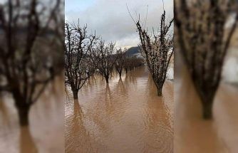 Elmalı’da dereler taştı, tarım alanları sular altında kaldı