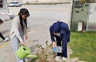 Emet MYO kampüsüne gül fidanı dikimi