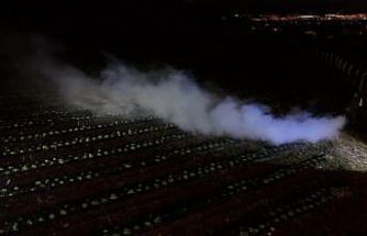 Erzincan’da 1450 rakımda don nöbeti: Üreticiler ürünlerini dumanla korudu