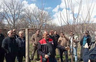 Erzincan’da çiftçilere budama eğitimi verildi