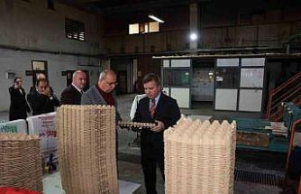 Erzincan’dan Türkiye’ye viyol üretimi