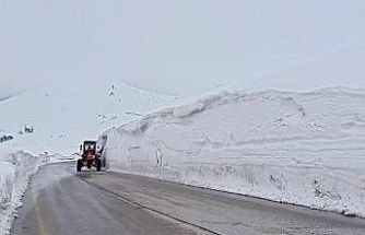 Erzurum’da 2 bin 885 rakımlı zorlu sınav: Palandöken Geçidi’nde kar ve tipi mesaisi