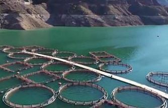 Erzurum’da 3,38 milyar destekle 5 bin 226 kişilik istihdam oluştu