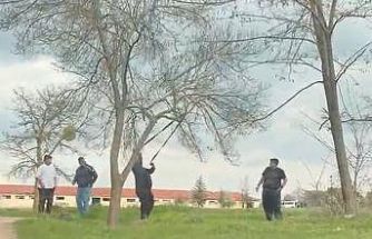 Eskişehir’de ‘mangal için ağaç dalını kırmaya çalıştılar’ iddiası