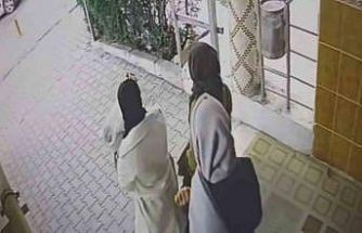 Ev fareleri kameraya yakalandı