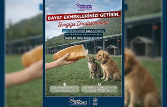 Germencik’te bayat ekmekler can dostlara mama oluyor