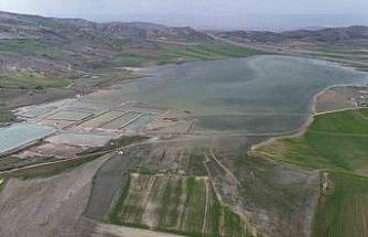 Göçmen kuşların uğrak mekanı, son yağışlarla doldu taştı