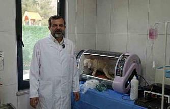 Gürsu Butik Hayvanat Bahçesi yeni sakinlerini ağırlıyor