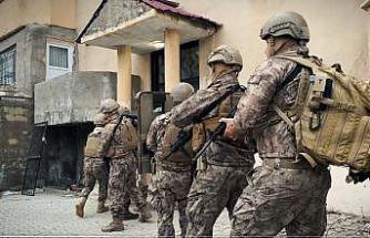 Hakkari’de kaçakçılık şebekesi çökertildi