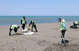 Hatay Büyükşehir Belediyesi, sahillerde temizlik çalışmasını yıl boyu sürdürüyor