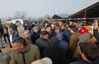 Hayvan pazarında hararetli pazarlık kamerada