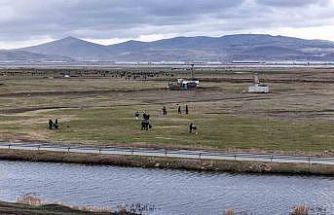 Hürmetçi’de sıcak asfalt, çevre temizliği ve yeşil alan atağı