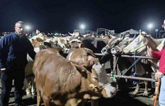 İç Anadolu’nun en büyük hayvan pazarında yoğun kurban mesaisi başladı