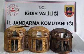 Iğdır’da kaçak keklik avına suçüstü: 72 bin TL ceza