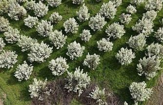 İnegöl’de kartpostallık görüntüler