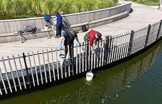 İzmit Millet Bahçesi göletinde bilimsel iyileştirme çalışması başladı