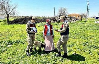 Jandarma ekipleri KADES uygulamasını tanıttı