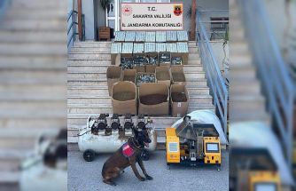 Jandarma kaçakçılığa geçit vermiyor: 3 gözaltı