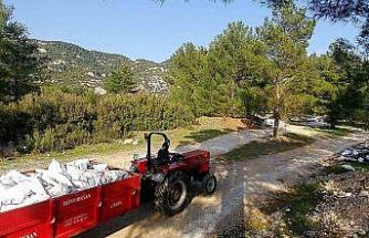 Kaçak döküm yapanlar fotokapandan kaçamadı