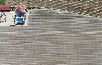 Kadın girişimciden tarımda akılcı çözüm