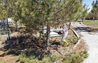 Kahramanmaraş’ta mezarlıklarda yenileme başladı