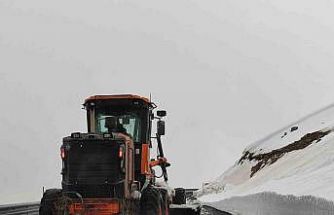 Kapalı olan Ardahan-Ardanuç kara yolu ulaşıma açıldı