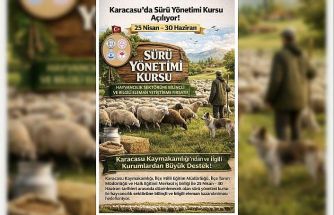 Karacasu’da sürü yönetimi kursu başlıyor