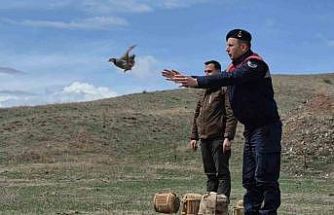 Kars’ta kaçak avcılara darbe: 51 canlı keklik doğaya kazandırıldı