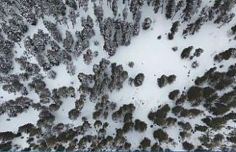 Kars’ta sarıçam ormanları beyaza büründü, tarım arazileri kar altında