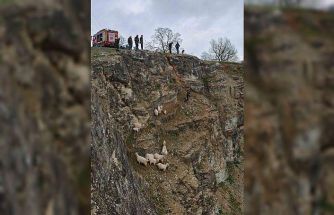 Kayalıklardaki sürüye cansiparane kurtarma