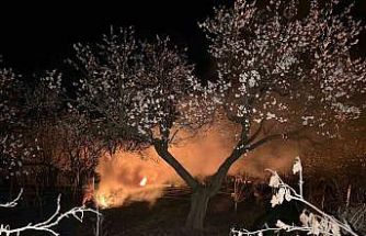 Kayısı bahçelerini ateş ve dumanla donmaya karşı koruyorlar