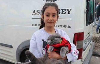 Kedisiyle stadyuma gelen minik taraftar bu sefer de Bursaspor’un yanında