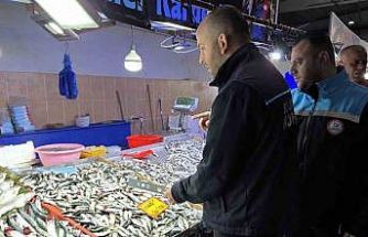 Kırklareli’nde balık tezgahları mercek altında