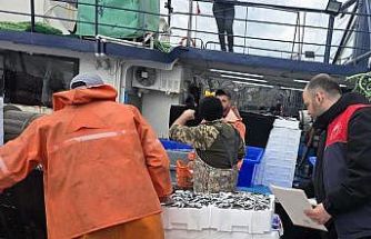 Kırklareli’nde hamsi avcılığına sıkı denetim: 15 milyon 270 bin 699 kilogram hamsi karaya çıkarıldı