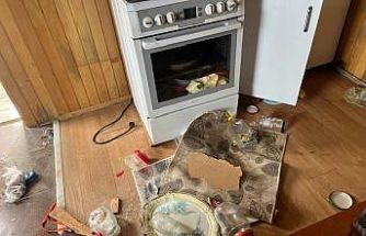 Kış uykusu bitti, ayı istilası başladı