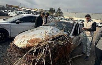 Kontrolden çıkarak devrilen otomobilin sürücüsü öldü