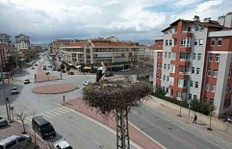 Konya’nın leylekleri direkteki yuvalarına geldi