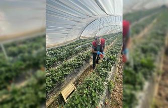 Köşk’ten Sultanhisar’a çapraz denetim