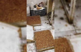 Kötü koku üzerine girilen evde mide bulandıran şartlarda lokum ve cezerye üretildiği ortaya çıktı