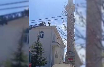 Kovancılar’da mahsur kalan kedi kurtarıldı