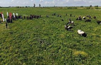 Kozan’da ıslah edilen mera alanı dualarla açıldı, sürüler alanda otlamaya başladı