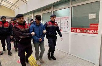 Kulübedeki baltalı ve kazmalı cinayette iki kuzene toplam 30 yıl hapis cezası