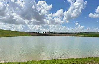 Kuraklıkla kuruma noktasına gelen gölet yağışlarla yeniden canlandı