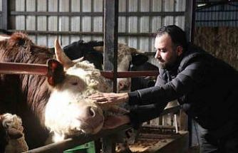 Kurbanlık alışverişinde erken alım hareketliliği